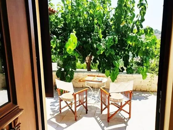 Ev, 1 Yatak Odası, Teras