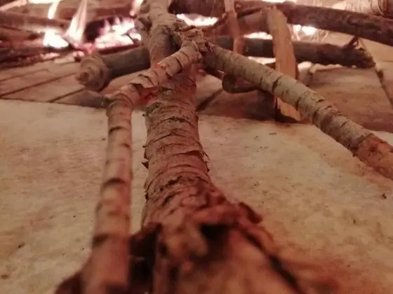 Ev