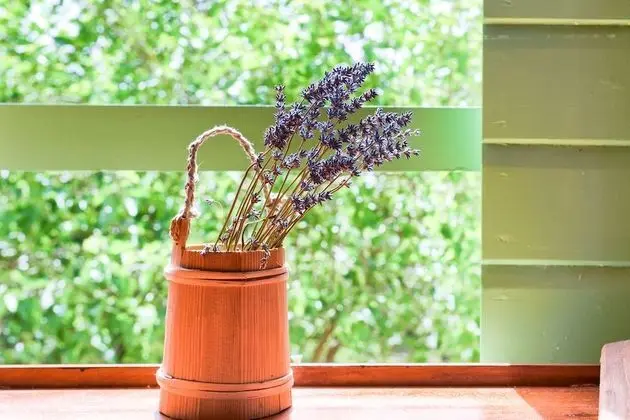 Ev, 1 Yatak Odası, Teras