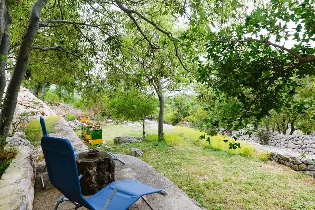 Ev, 1 Yatak Odası, Teras