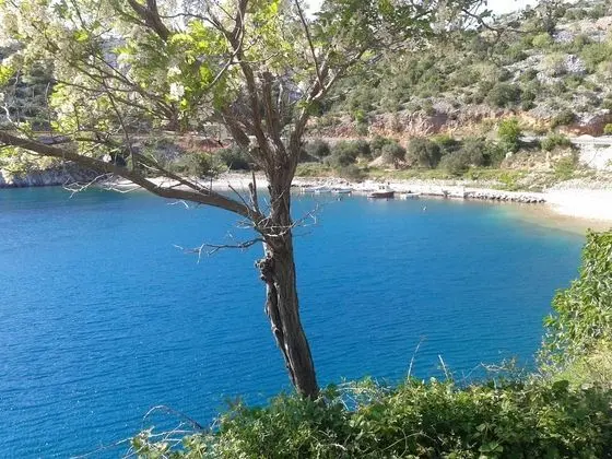 Ev, 1 Yatak Odası, Teras