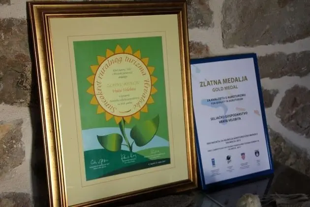 Ev, 1 Yatak Odası, Teras