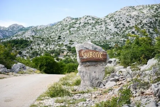 Ev, 1 Yatak Odası, Teras