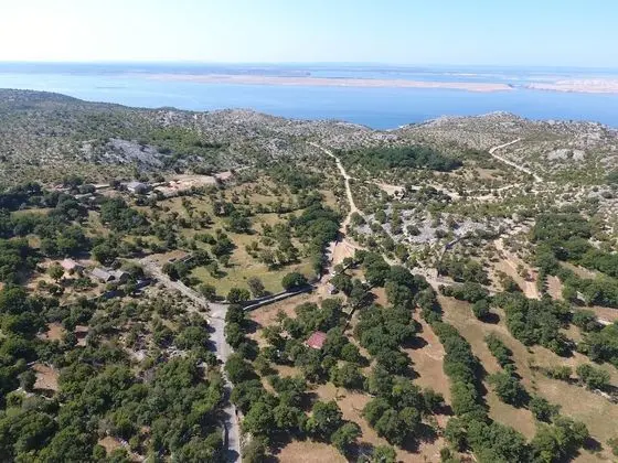 Ev, 1 Yatak Odası, Teras