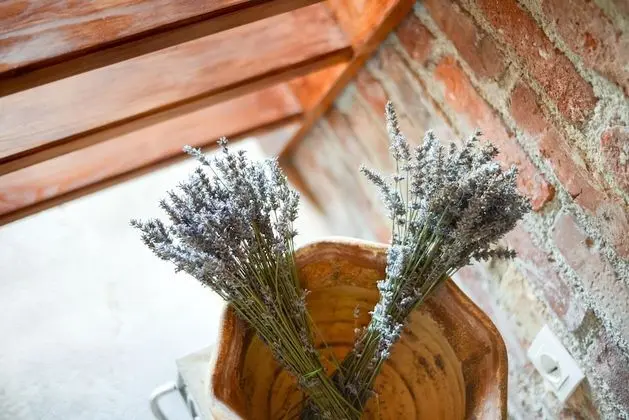 Ev, 1 Yatak Odası, Teras