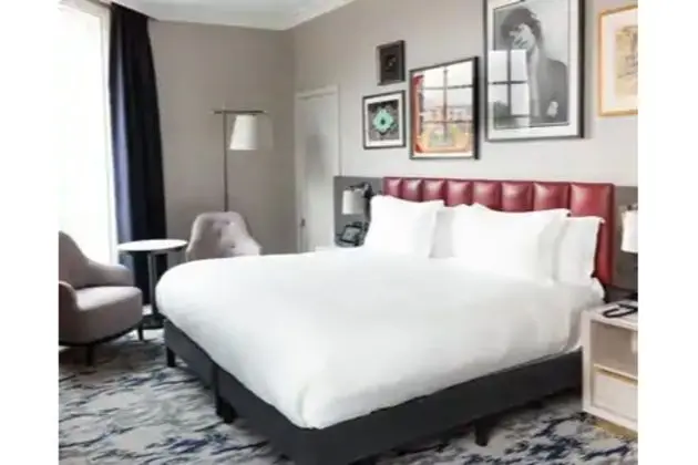 Çift ​​kişilik Guest Room King Bed