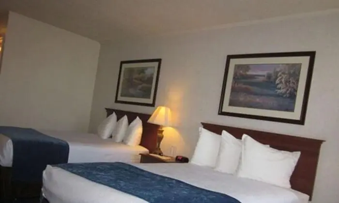 Standard Oda, 2 Çift Kişilik Yatak, Buzdolabı ve Mikrodalga