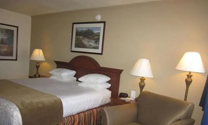 Standard Oda, Engellilere Uygun, Buzdolabı ve Mikrodalga