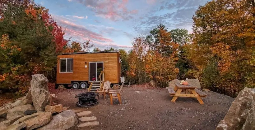 The Loon (Site 1)