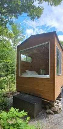 The Loon (Site 1)
