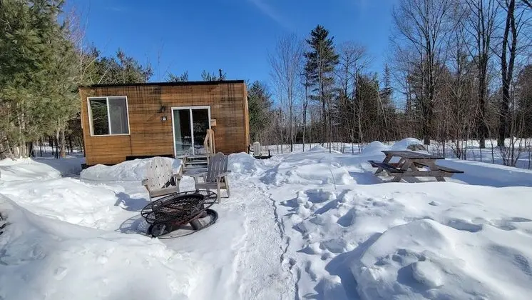 The Loon (Site 1)