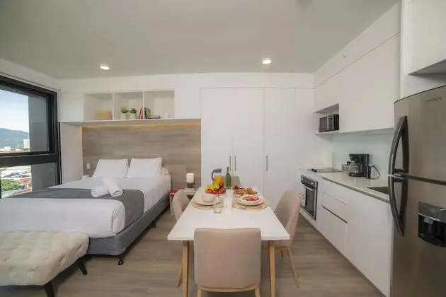 Executive Stüdyo, 1 Büyük (Queen) Boy Yatak, Sigara İçilmez, Şehir Manzaralı
