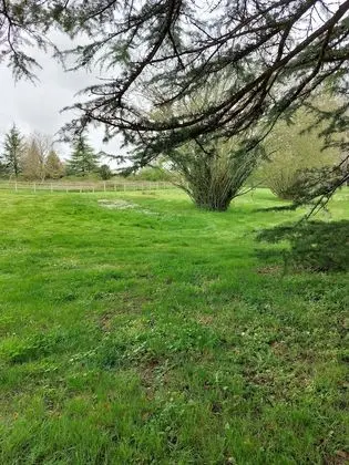 Üç Kişilik Oda (Chez Flora)