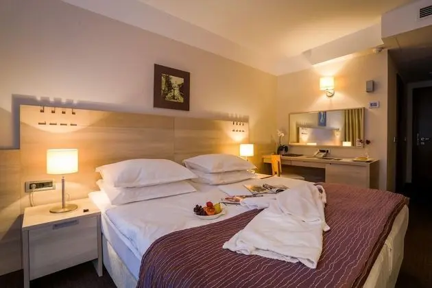 Superior Tek Büyük veya İki Ayrı Yataklı Oda, Balkon