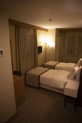 Deluxe Tek Büyük veya İki Ayrı Yataklı Oda