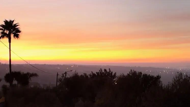 Signature Süit, 1 En Büyük (King) Boy Yatak