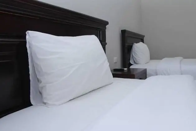 Superior Tek Büyük Yataklı Oda, 2 Tek Kişilik Yatak, Şehir Manzaralı