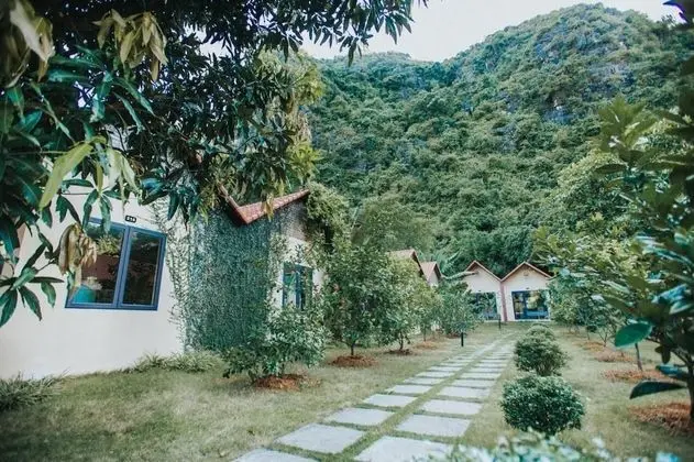 Superior Dört Kişilik Oda, Bahçe Manzaralı