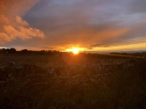 Ev, Birden Çok Yatak