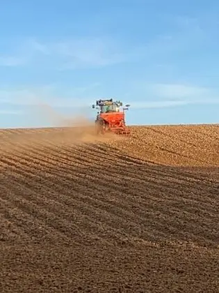 Ev, Birden Çok Yatak