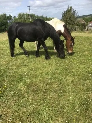 Ev, Birden Çok Yatak