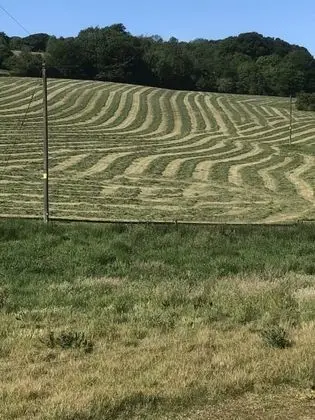 Ev, Birden Çok Yatak