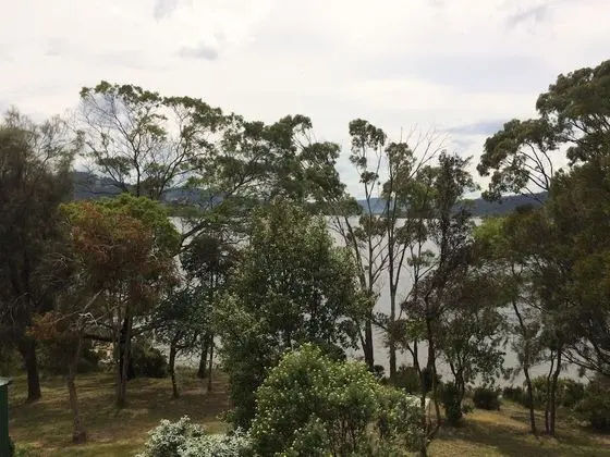 Dört Kişilik Oda (Huon Pine)
