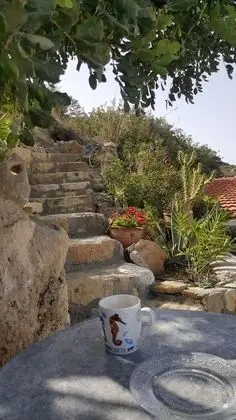 Ev, 1 Büyük (Queen) Boy Yatak ve Çekyat