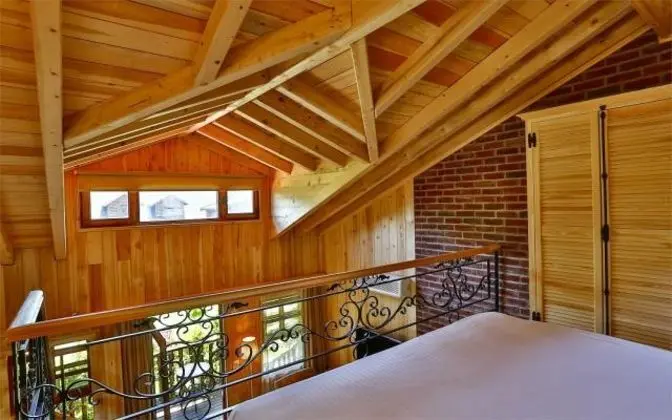 Swan Suite Oda