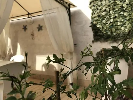 Standard Tek Büyük veya İki Ayrı Yataklı Oda, 1 Yatak Odası, Özel Banyo