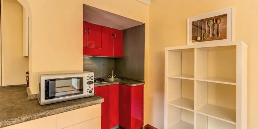 Apart Daire, 1 Yatak Odası, Teras