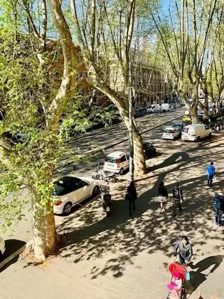 Standard Tek Büyük Yataklı Oda, Şehir Manzaralı