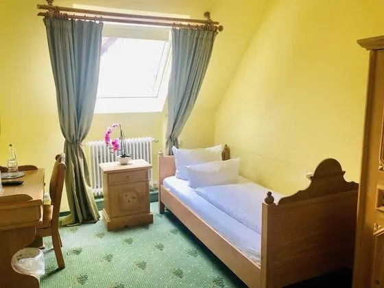 Business Tek Kişilik Oda, Üzüm Asması Manzaralı