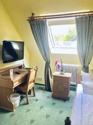 Business Tek Kişilik Oda, Üzüm Asması Manzaralı