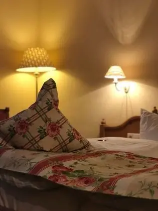 Business Tek Kişilik Oda, Üzüm Asması Manzaralı