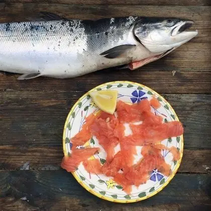 Yurt Complete Experience incl. Half-Board and a Tour