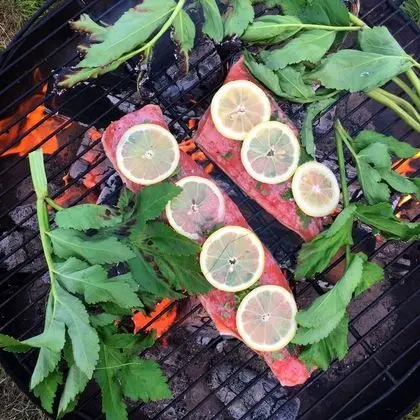 Yurt Complete Experience incl. Half-Board and a Tour