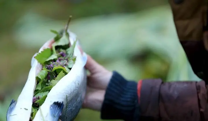 Yurt Complete Experience incl. Half-Board and a Tour