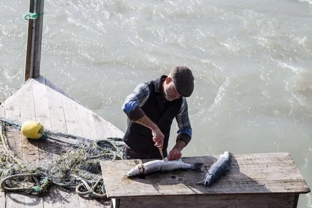 Yurt Complete Experience incl. Half-Board and a Tour