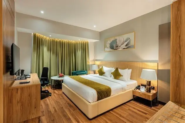 Executive Oda, 1 Çift Kişilik Yatak, Şehir Manzaralı