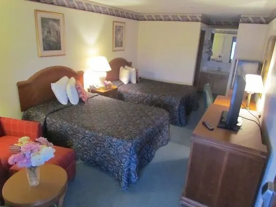 Deluxe Tek Büyük Yataklı Oda, 2 Çift Kişilik Yatak, Buzdolabı ve Mikrodalga, Şehir Manzaralı