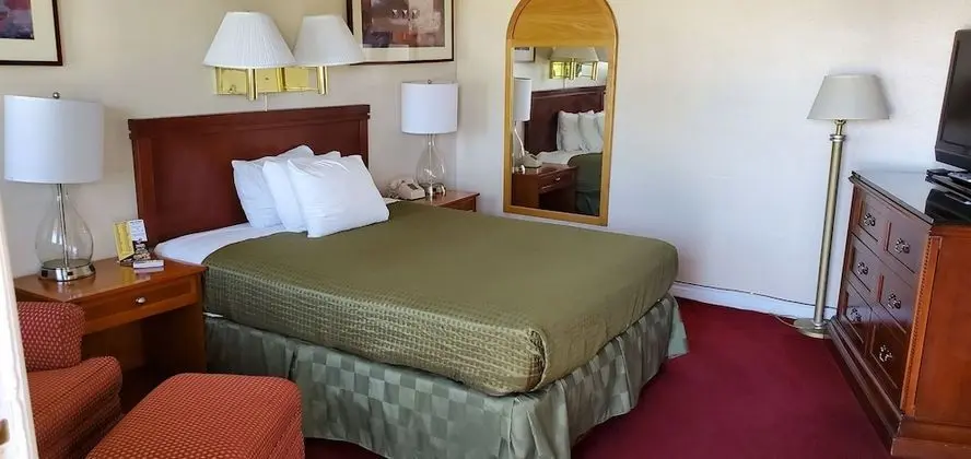 Deluxe Oda, 1 Büyük (Queen) Boy Yatak, Sigara İçilebilir, Buzdolabı ve Mikrodalga