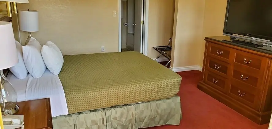 Deluxe Oda, 1 Büyük (Queen) Boy Yatak, Sigara İçilmez, Buzdolabı ve Mikrodalga