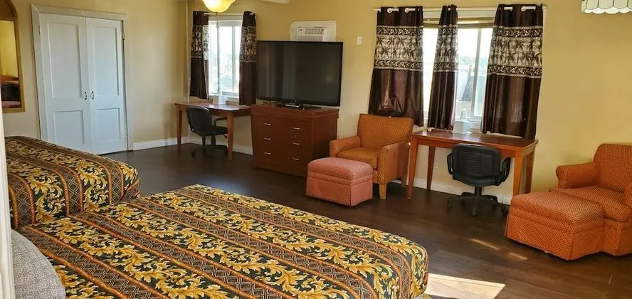 Deluxe Oda, 2 Büyük (Queen) Boy Yatak, Sigara İçilmez, Buzdolabı ve Mikrodalga