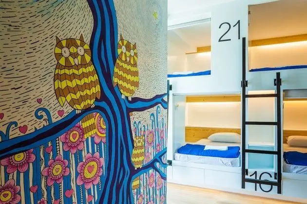 Mixed Dormitory Room