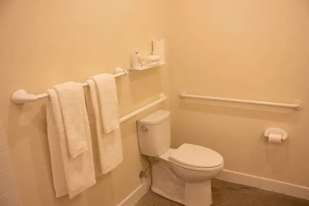 Traditional Oda, 1 Büyük (Queen) Boy Yatak, Engellilere Uygun, Sigara İçilmez