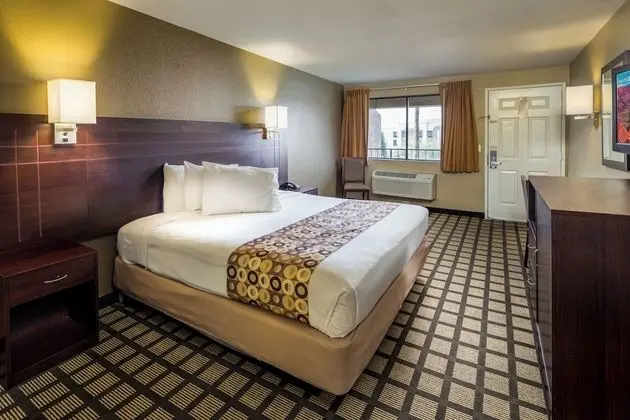 Single King Bed Nonsmoking