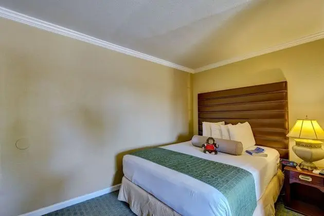 Standard Oda, 1 Büyük (Queen) Boy Yatak, Sigara İçilmez