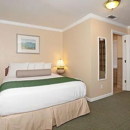 Standard Oda, 1 Büyük (Queen) Boy Yatak, Sigara İçilmez