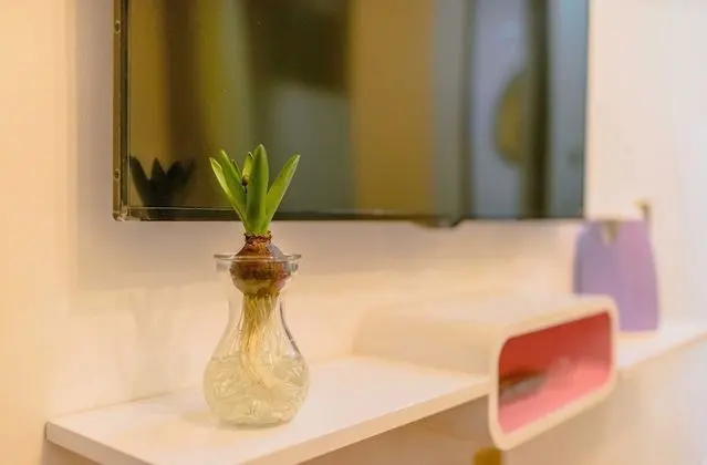 Tek Büyük Yataklı Oda, Balkon